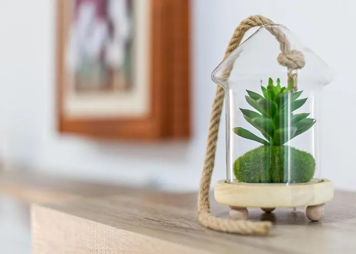 Apartamento Savoa Sea 365